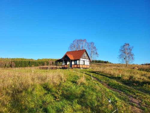 a house in the middle of a field at Dom Malarki in Mirosławiec
