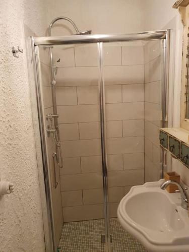 a bathroom with a shower and a toilet and a sink at La Louve in Nunziata