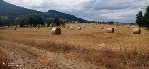 a field full of hay bales in a field at Chez Patou - Chambres d'hôtes in Beauzac