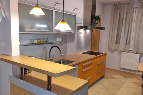 una cucina con lavandino e piano di lavoro di Family apartment a Dolný Kubín