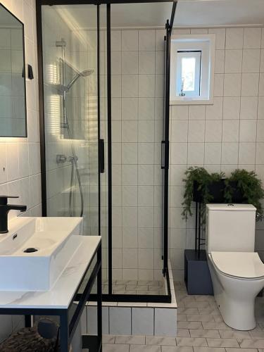 La salle de bains est pourvue d'une douche, de toilettes et d'un lavabo. dans l'établissement Zijper Eilant House, à Oudesluis