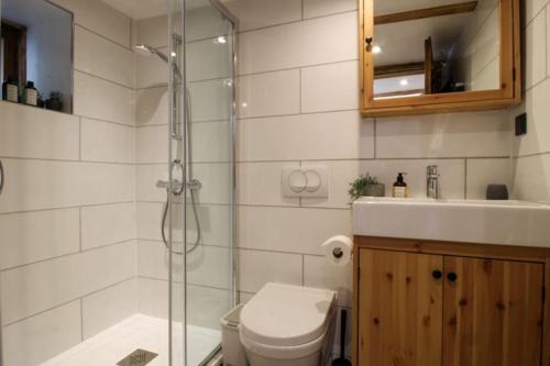 La salle de bains est pourvue d'une douche, de toilettes et d'un lavabo. dans l'établissement Charmante maison de hameau traditionnel montagnard, à Saint-Marcel