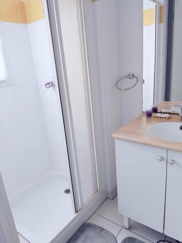 une salle de bain avec douche et lavabo dans l'établissement la marmotte tranquille, à Saint-Geniez-dʼOlt