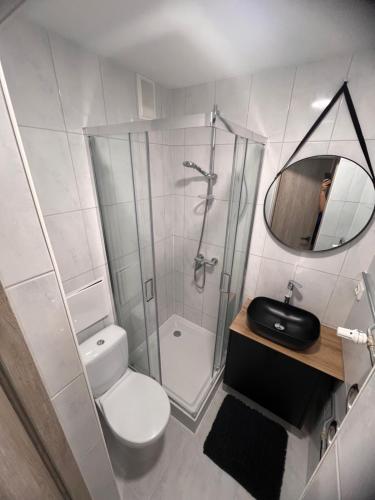 een badkamer met een douche, een toilet en een spiegel bij NERO apartamentai in Naujoji Akmenė
