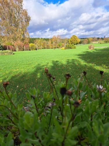 a field of green grass with flowers in the foreground at Gite A bicyclette in Dinez