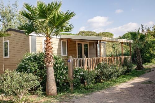 a small house with a palm tree in front of it at Camping Site de Gorge Vent in Fréjus