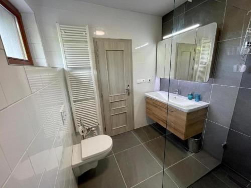 a bathroom with a toilet and a sink and a mirror at Apartmány Vodohospodár in Mýto pod Ďumbierom