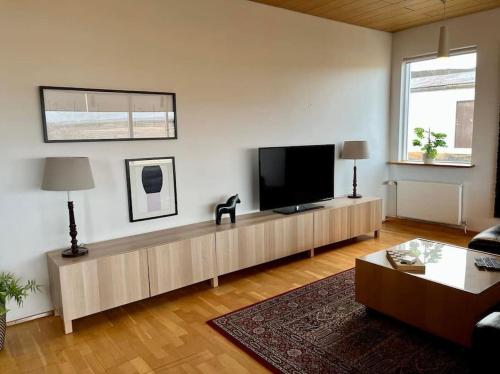 TV a/nebo společenská místnost v ubytování Fell cottage