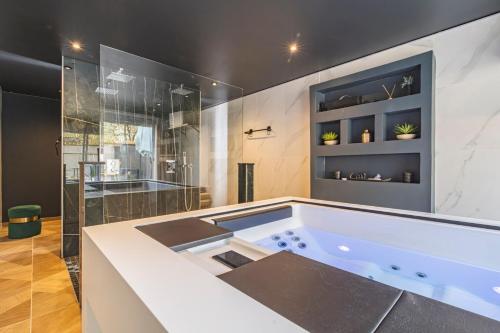 uma grande casa de banho com banheira e chuveiro em Art Déco Lesage & Spa em Reims