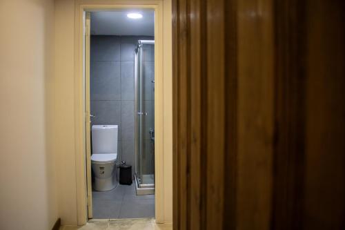 a bathroom with a toilet and a walk in shower at Αρχοντικό Αλεξάνδρου in Kakopetria