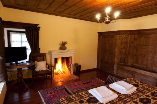 a living room with a fireplace and a television at Vergoula's Mansion in Kastoria