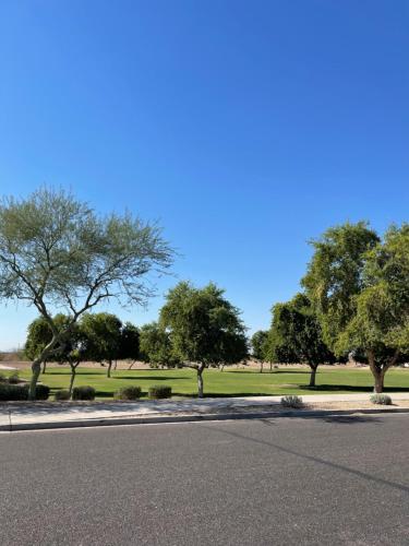 an empty road with trees and a field in the background at Modern Private room By Cardinals State Farm stadium in Phoenix