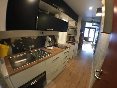 une cuisine avec un évier et un plan de travail dans l'établissement Un petit nid au pied des pistes, à Bagnères-de-Bigorre