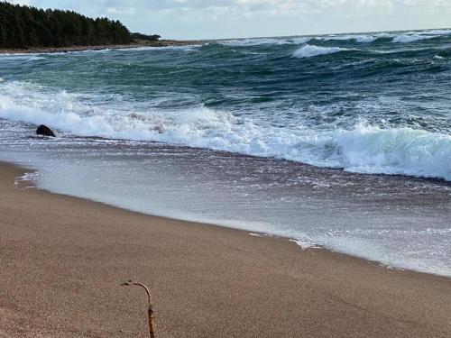 a beach with a wave in the ocean at Seaside Rendezvous in Kalana