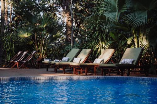 Bassein majutusasutuses Overo Lodge & Selva või selle lähedal
