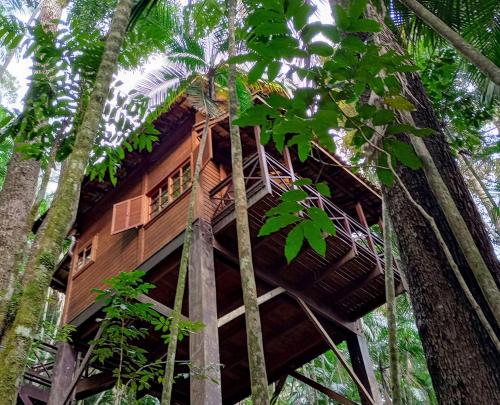 Eco Resort Nagual – Photos 4