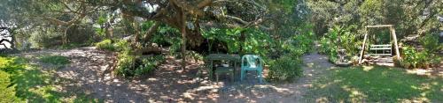 Taman di luar Black Rock Haven