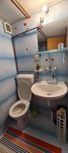 łazienka z toaletą i umywalką w obiekcie Vjeverica Chalet w mieście Jahorina