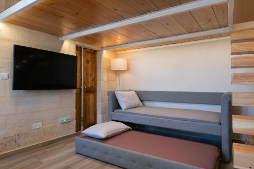 een kamer met een bank en een flatscreen-tv bij Harbour View Lofts in Senglea