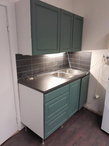 a kitchen with green cabinets and a sink at Wilhelmsen Romutleie in Vardø