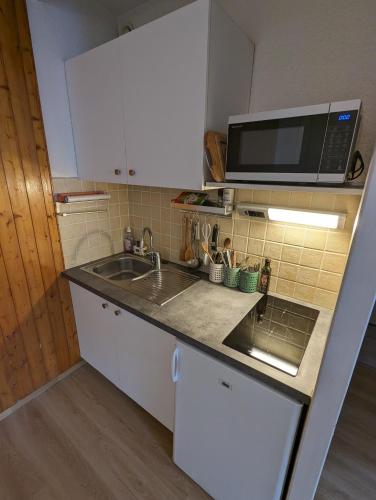 une petite cuisine avec un évier et un micro-ondes dans l'établissement Central spacious flat with private parking, à Chamonix-Mont-Blanc