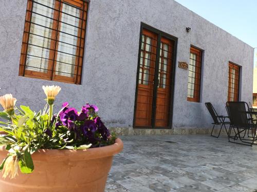 Lavanda cabañas – Foto's 2