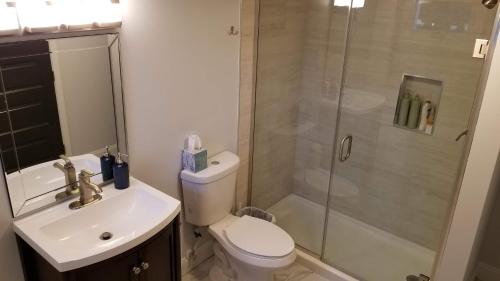 uma casa de banho com um chuveiro, um WC e um lavatório. em English Basement Suite in Petworth, Washington, DC -- FREE off-street parking, walk to Metro and restaurants em Washington