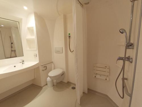 ein Bad mit einer Dusche, einem WC und einem Waschbecken in der Unterkunft Les maisonnettes du lac - base de loisirs Lavaré in Lavaré