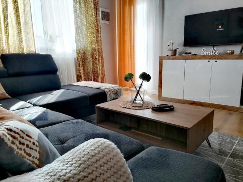 a living room with a couch and a tv at Shine Apartman in Szentgotthárd