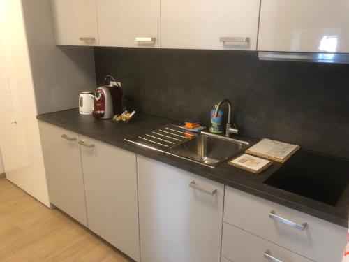 uma cozinha com um lavatório e uma bancada em B&B Alpina em Le Prese