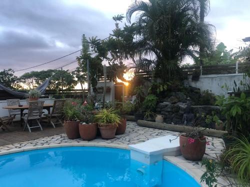 a swimming pool in a yard with potted plants at Le Latanier in Petite Île