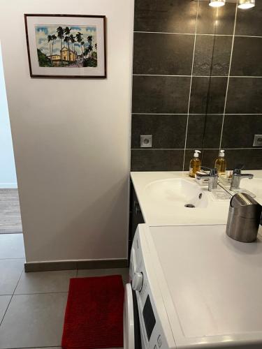 een badkamer met een witte wastafel en een spiegel bij Apartment close to Paris and métro in Pré Saint Gervais
