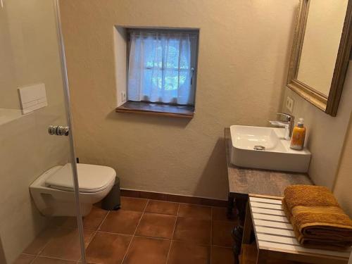 een badkamer met een toilet, een wastafel en een raam bij Sophienquelle Schweizermühle in Schweizermühle