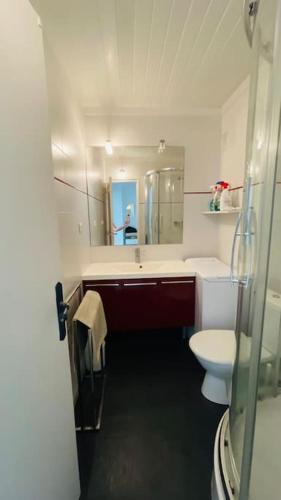 une salle de bain avec toilettes, lavabo et miroir dans l'établissement Beau T2 dans résidence calme 5 Toits et Mois, à La Grande Motte