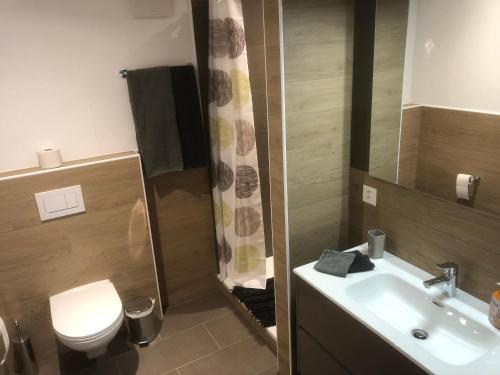 レ・プレセにあるB&B Alpinaのバスルーム(洗面台、トイレ、鏡付)