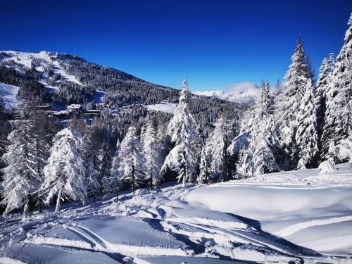 a snow covered mountain with trees and a ski slope at Naturgut Gailtal in Sankt Stefan an der Gail