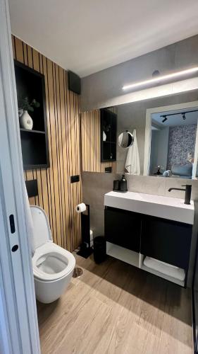 a bathroom with a toilet and a sink and a mirror at Belle Vue Malaga Suite in Málaga