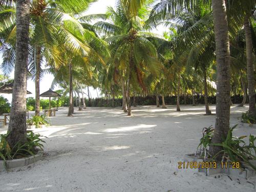 Galería fotográfica de Nazaki Beach Hotel & Spa Maldives en Gan