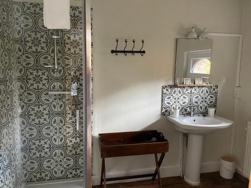 Un baño con lavabo y ducha con espejo. en Grammelot, en Beauraing