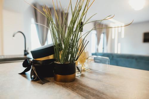 a potted plant sitting on top of a table at CassaTa-one-Vaslui in Vaslui