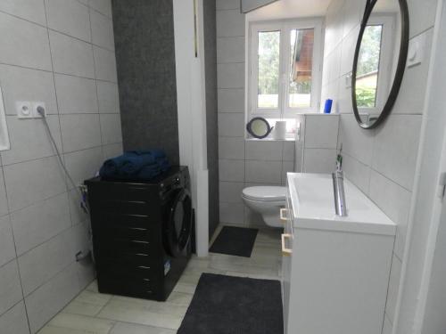 a bathroom with a toilet and a sink and a mirror at Gîte de linxe in Linxe