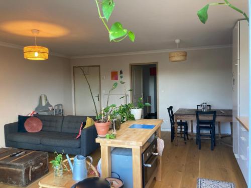 un salon avec un canapé et une table dans l'établissement L’appartement de Manon, à Montauban