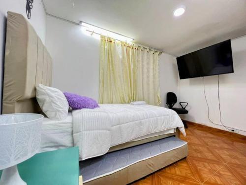 Tempat tidur dalam kamar di Hermoso apartamento acogedor-cocina wi-fi 500MB
