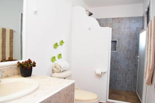 a bathroom with a sink and a toilet and a shower at Villa Familiar en exclusivo condominio playacar in Playa del Carmen