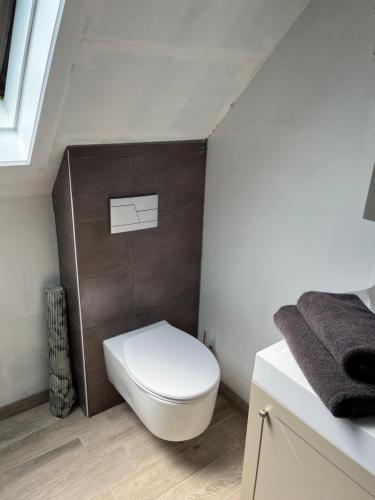 a bathroom with a white toilet and a brown wall at B&B 't Hemelbedje in Nieuwpoort