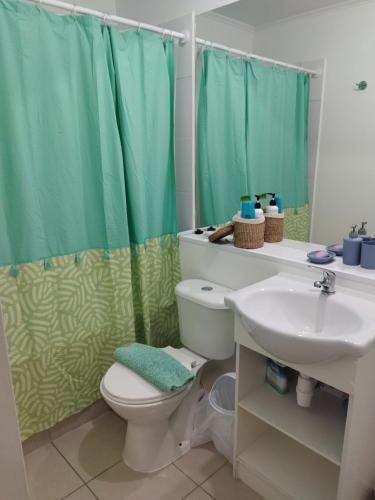 a bathroom with a green shower curtain and a toilet at Acogedor Apartamento 2D1B Edificio Aldunate in Temuco