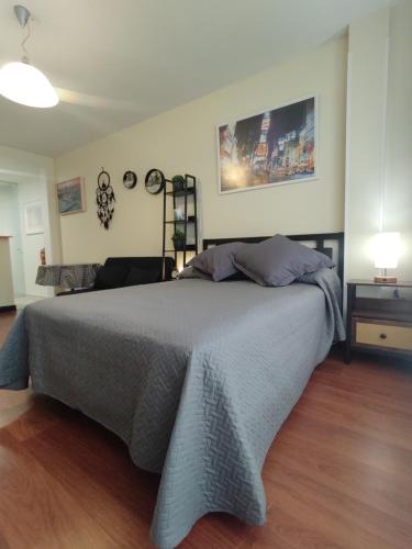 ein Schlafzimmer mit einem großen Bett in einem Zimmer in der Unterkunft Madrid Office Tour Estudio Top in Alcobendas