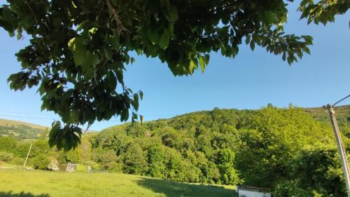 a hillside with a green field and trees at Casa David in Tríacastela