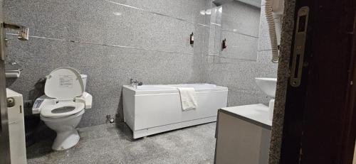 ein Bad mit einem WC und einem Waschbecken in der Unterkunft Hotel Bran Stoker in Bran