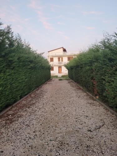 a dirt road in front of a building with bushes at Villa Makaj in Shënkoll